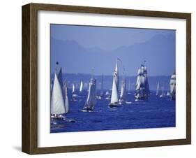 2002 Tall Ships Festival in Elliott Bay, Seattle, Washington, USA-William Sutton-Framed Photographic Print