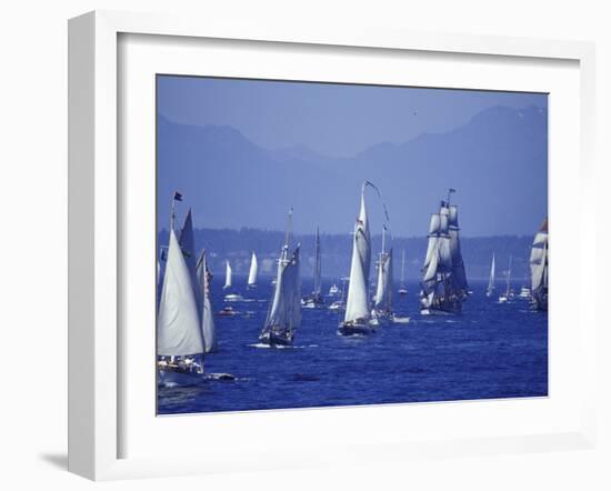 2002 Tall Ships Festival in Elliott Bay, Seattle, Washington, USA-William Sutton-Framed Photographic Print