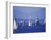 2002 Tall Ships Festival in Elliott Bay, Seattle, Washington, USA-William Sutton-Framed Photographic Print