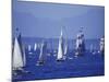 2002 Tall Ships Festival in Elliott Bay, Seattle, Washington, USA-William Sutton-Mounted Photographic Print