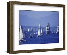 2002 Tall Ships Festival in Elliott Bay, Seattle, Washington, USA-William Sutton-Framed Photographic Print