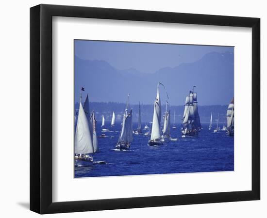 2002 Tall Ships Festival in Elliott Bay, Seattle, Washington, USA-William Sutton-Framed Photographic Print