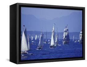 2002 Tall Ships Festival in Elliott Bay, Seattle, Washington, USA-William Sutton-Framed Stretched Canvas