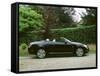 2003 Lexus SC430 4.3L-null-Framed Stretched Canvas