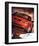 2003 Mustang-Like They Used To-null-Framed Art Print