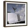 2003 Rolls Royce Phantom-null-Framed Photographic Print