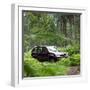 2003 Toyota Landcruiser-null-Framed Photographic Print