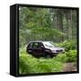 2003 Toyota Landcruiser-null-Framed Stretched Canvas