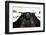 2004 B.A.R. Honda Formula 1 car cockpit-null-Framed Photographic Print