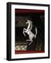 2004 Ferrari Enzo-null-Framed Photographic Print