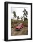 2004 Jeep Cherokee-null-Framed Photographic Print