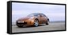 2004 Nissan 350Z-null-Framed Stretched Canvas