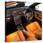 2004 Volvo C70-null-Stretched Canvas