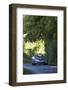 2005 Chrysler Crossfire Roadster-null-Framed Photographic Print