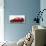 2005 Honda Civic Type R-null-Photographic Print displayed on a wall