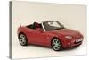 2005 Mazda MX5-null-Stretched Canvas