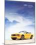 2005 Mustang-Work in a Cubicle-null-Mounted Art Print