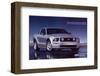 2005 Mustang - Your Untamed-null-Framed Art Print