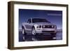 2005 Mustang - Your Untamed-null-Framed Art Print