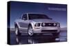 2005 Mustang - Your Untamed-null-Stretched Canvas