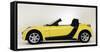 2005 Smart Roadster-null-Framed Stretched Canvas