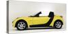 2005 Smart Roadster-null-Stretched Canvas