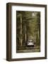 2005 VW Tovareg Tdi V6-null-Framed Photographic Print