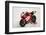 2006 Ducati 999 Xerox, Troy Bayliss Superbike.Moto GP championship winner-null-Framed Photographic Print