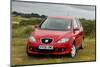 2006 Seat Toledo-null-Mounted Photographic Print