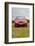 2006 Seat Toledo-null-Framed Photographic Print