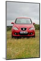 2006 Seat Toledo-null-Mounted Photographic Print