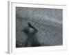 2007 America's Cup Sailing, Valencia, Spain-Bernat Armangue-Framed Photographic Print