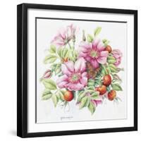 2007 August Bouquet-Janneke Brinkman-Salentijn-Framed Giclee Print