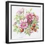 2007 August Bouquet-Janneke Brinkman-Salentijn-Framed Giclee Print