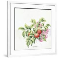 2007 Rose Hips-Janneke Brinkman-Salentijn-Framed Giclee Print