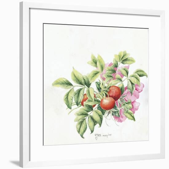 2007 Rose Hips-Janneke Brinkman-Salentijn-Framed Giclee Print