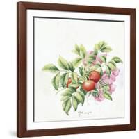 2007 Rose Hips-Janneke Brinkman-Salentijn-Framed Giclee Print