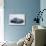 2007 Saab 9-3 Cabriolet-null-Photographic Print displayed on a wall