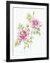 2007 Wild Roses-Janneke Brinkman-Salentijn-Framed Giclee Print