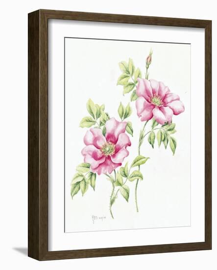 2007 Wild Roses-Janneke Brinkman-Salentijn-Framed Giclee Print