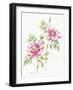 2007 Wild Roses-Janneke Brinkman-Salentijn-Framed Giclee Print