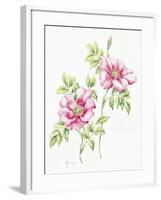 2007 Wild Roses-Janneke Brinkman-Salentijn-Framed Giclee Print