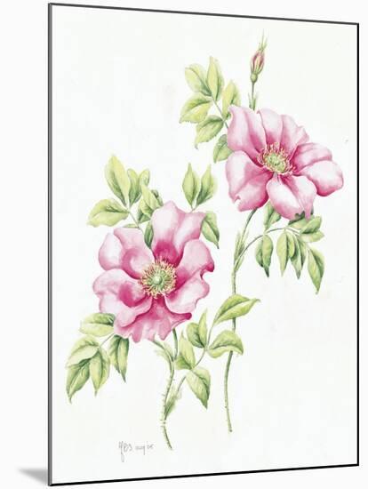 2007 Wild Roses-Janneke Brinkman-Salentijn-Mounted Giclee Print