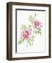 2007 Wild Roses-Janneke Brinkman-Salentijn-Framed Giclee Print