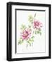 2007 Wild Roses-Janneke Brinkman-Salentijn-Framed Giclee Print