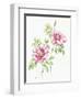 2007 Wild Roses-Janneke Brinkman-Salentijn-Framed Giclee Print