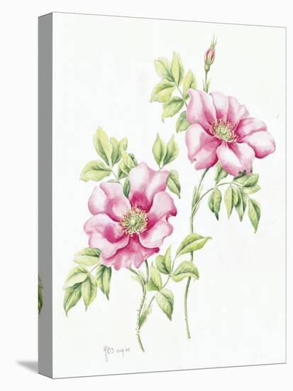 2007 Wild Roses-Janneke Brinkman-Salentijn-Stretched Canvas