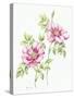 2007 Wild Roses-Janneke Brinkman-Salentijn-Stretched Canvas