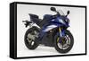 2007 Yamaha YZF-R6R-null-Framed Stretched Canvas