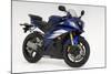 2007 Yamaha YZF-R6R-null-Mounted Photographic Print